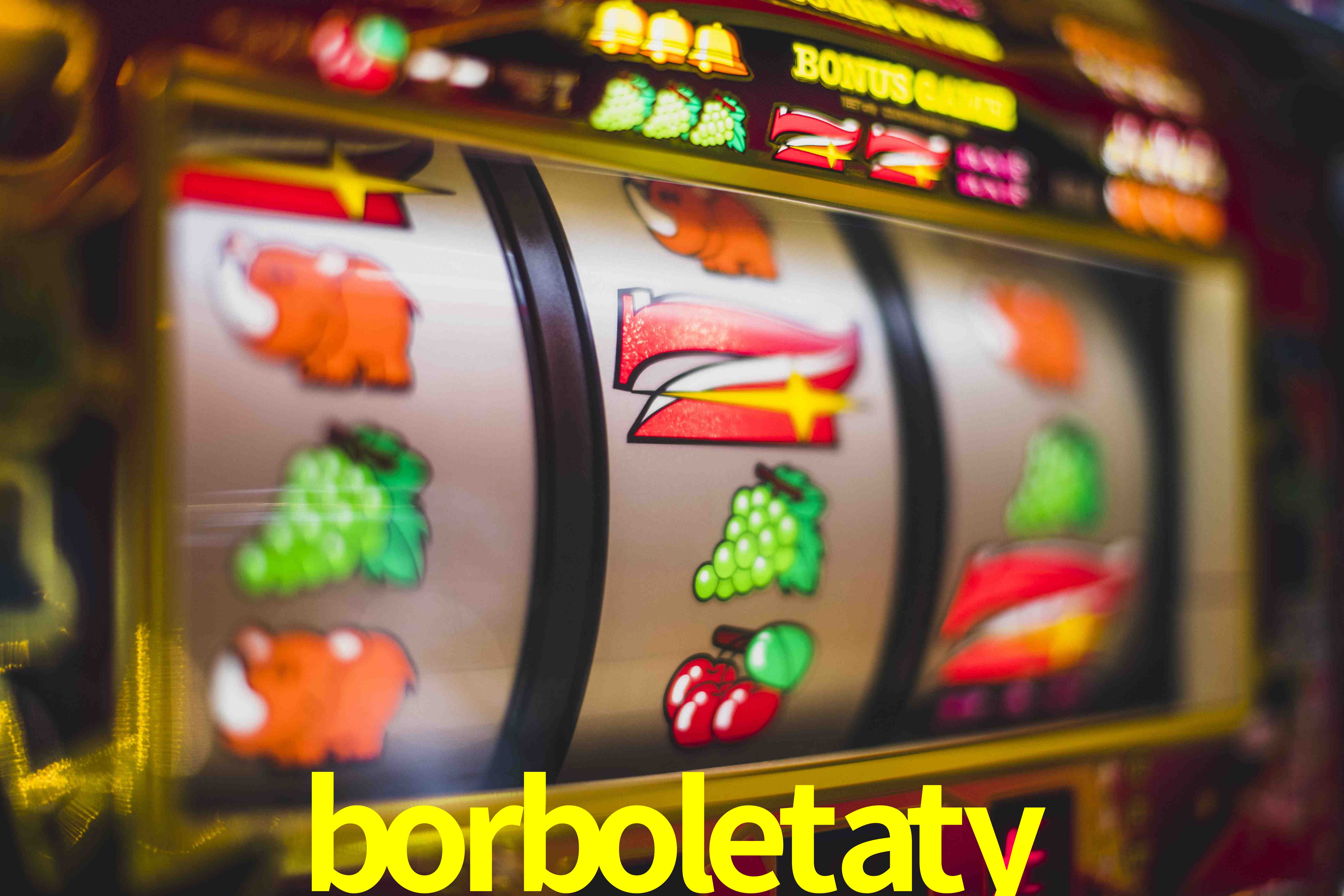 Experiência VIP borboletaty